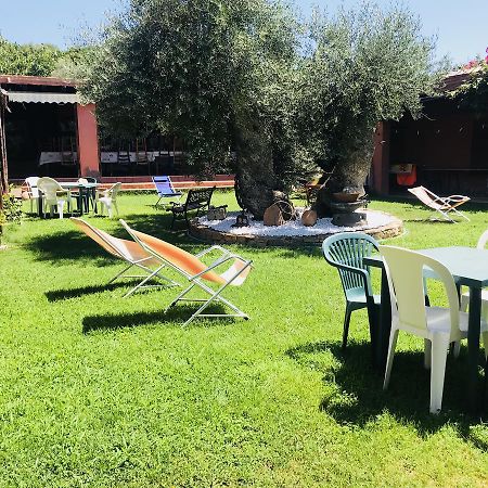 Agriturismo Su Barraccu Loceri Екстериор снимка