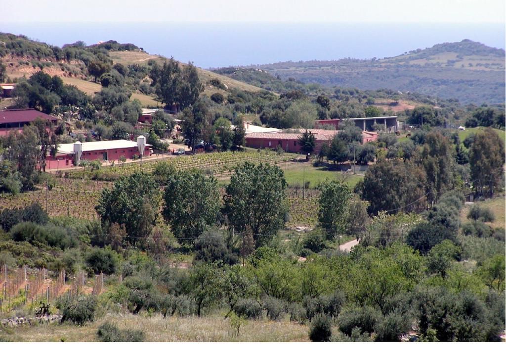 Agriturismo Su Barraccu Loceri Екстериор снимка