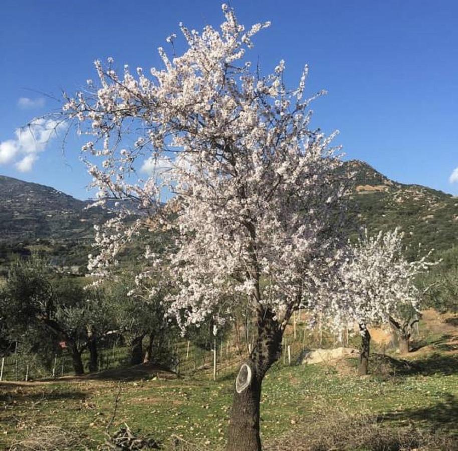 Agriturismo Su Barraccu Loceri Екстериор снимка