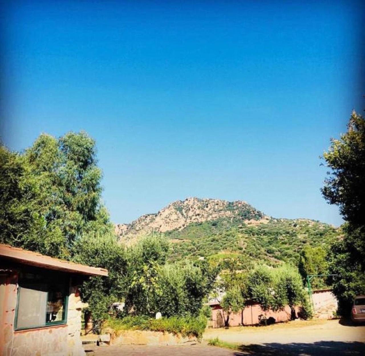 Agriturismo Su Barraccu Loceri Екстериор снимка