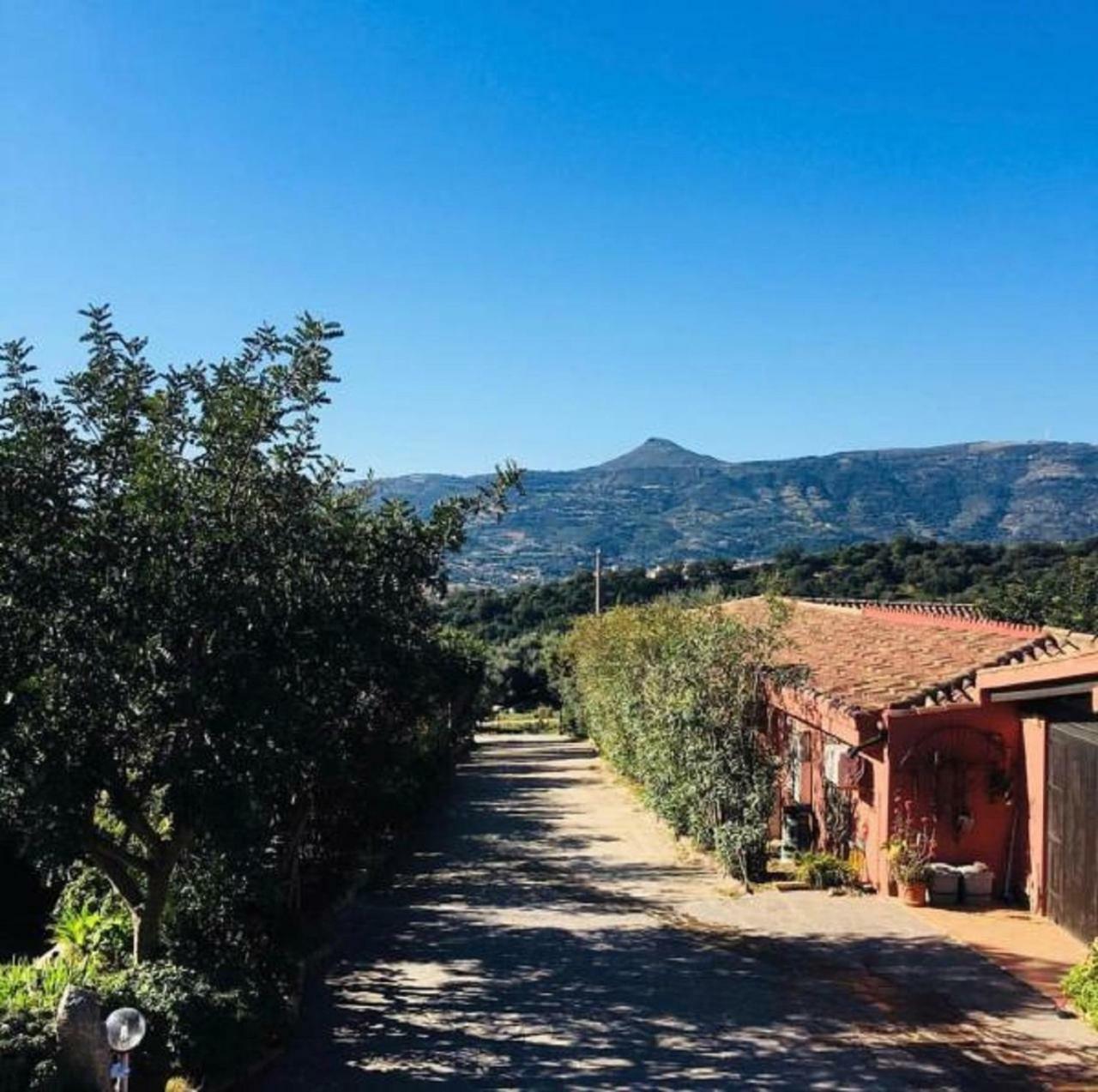 Agriturismo Su Barraccu Loceri Екстериор снимка