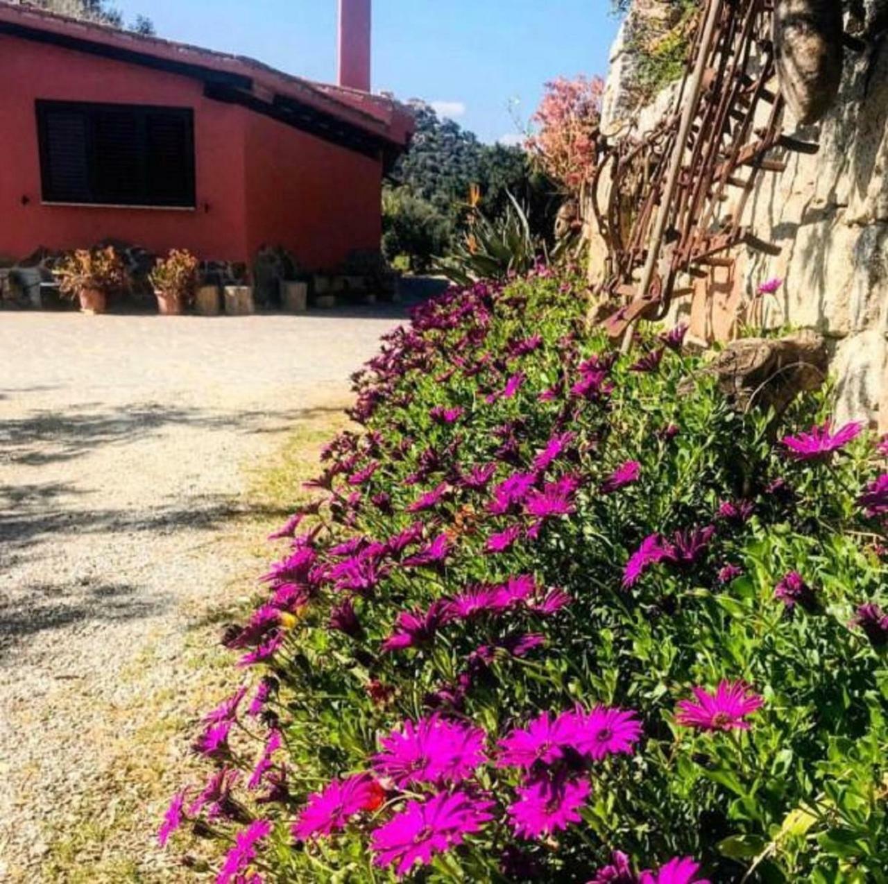Agriturismo Su Barraccu Loceri Екстериор снимка